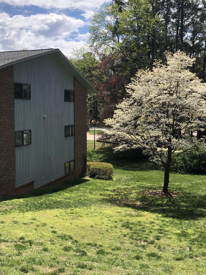 Modern Upscale Private Rooms Raleigh Exterior photo